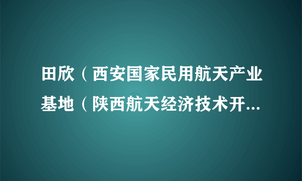 田欣（西安国家民用航天产业基地（陕西航天经济技术开发区）工作委员会委员）