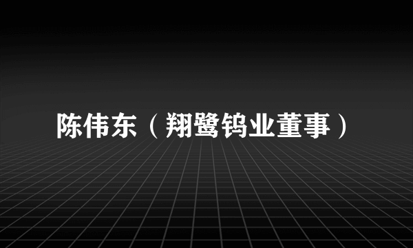 陈伟东（翔鹭钨业董事）