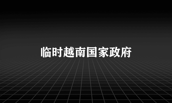 临时越南国家政府