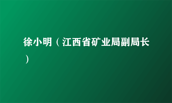 徐小明（江西省矿业局副局长）