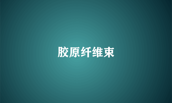 胶原纤维束