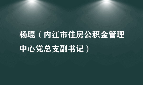 杨琨（内江市住房公积金管理中心党总支副书记）
