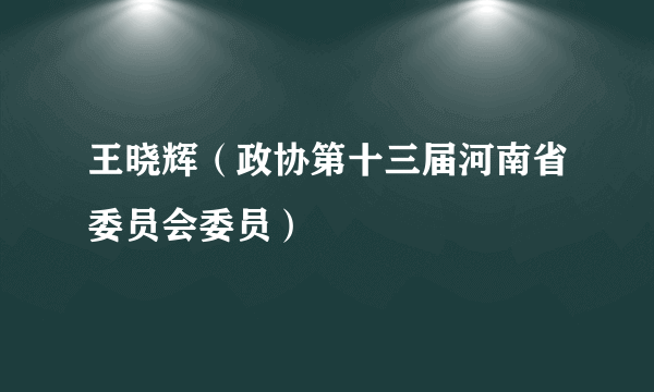 王晓辉（政协第十三届河南省委员会委员）