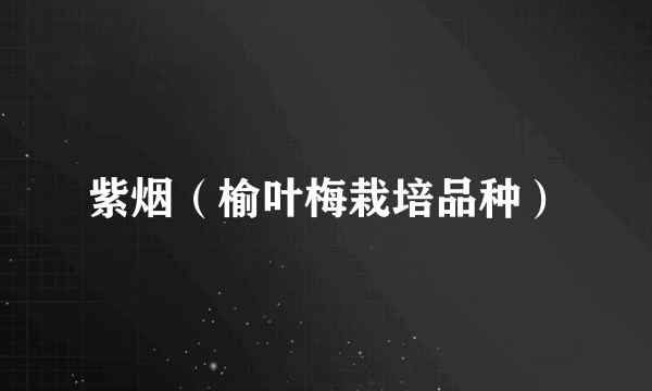 紫烟（榆叶梅栽培品种）