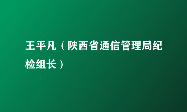 王平凡（陕西省通信管理局纪检组长）