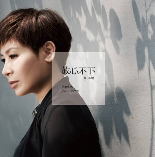 坦白（2013年黄小琥演唱歌曲）