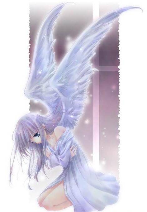 堕落音符：樱空天使