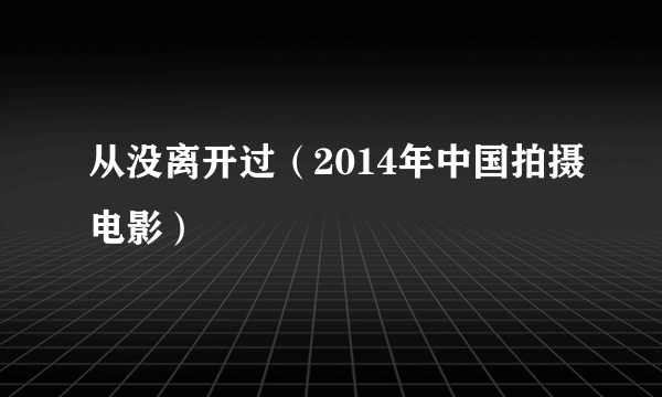 从没离开过（2014年中国拍摄电影）