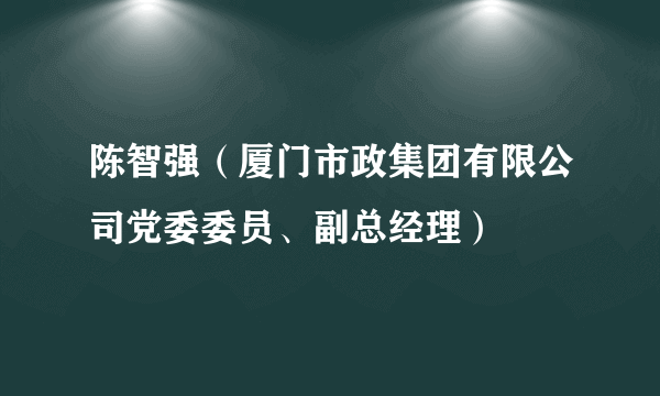 陈智强（厦门市政集团有限公司党委委员、副总经理）