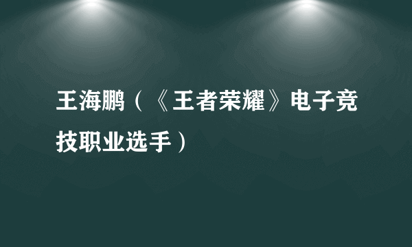 王海鹏（《王者荣耀》电子竞技职业选手）