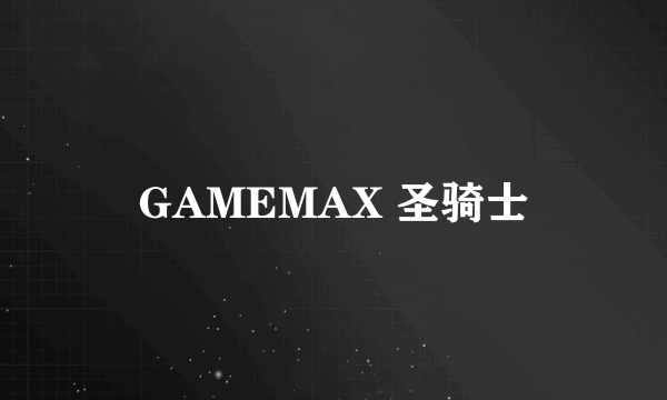 GAMEMAX 圣骑士