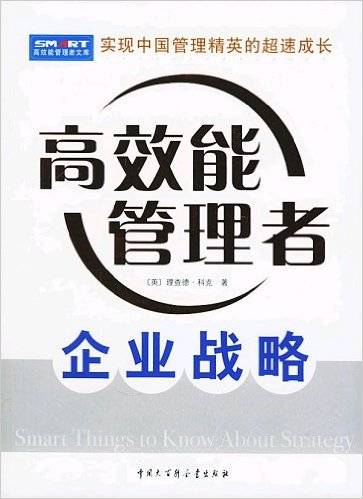 企业战略（2005年中国大百科全书出版社出版的图书）