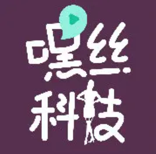 嘿丝科技