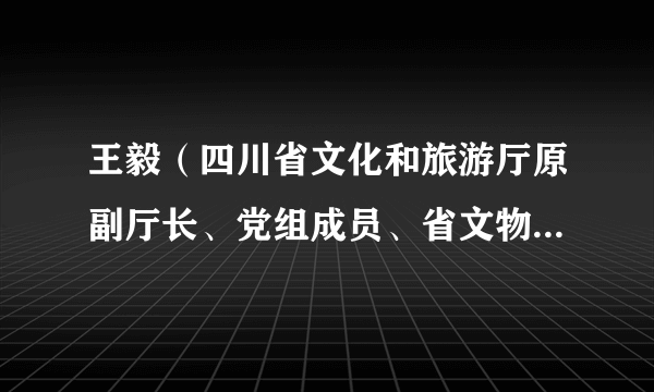 王毅（四川省文化和旅游厅原副厅长、党组成员、省文物局原局长、党组书记）