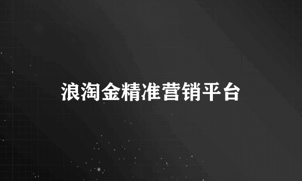 浪淘金精准营销平台