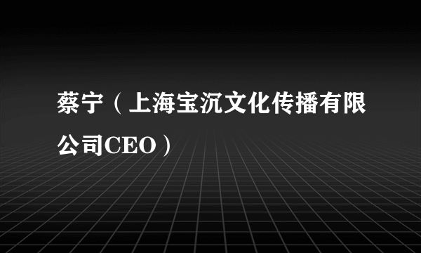 蔡宁（上海宝沉文化传播有限公司CEO）