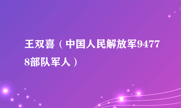 王双喜（中国人民解放军94778部队军人）