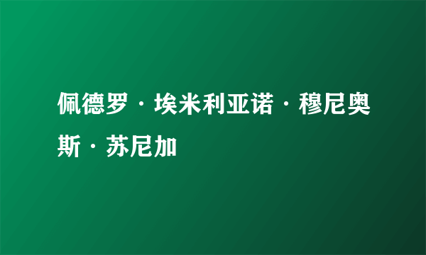 佩德罗·埃米利亚诺·穆尼奥斯·苏尼加