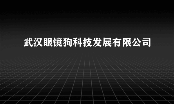 武汉眼镜狗科技发展有限公司