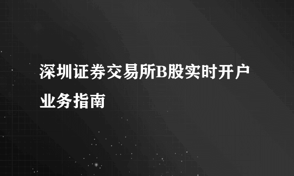 深圳证券交易所B股实时开户业务指南