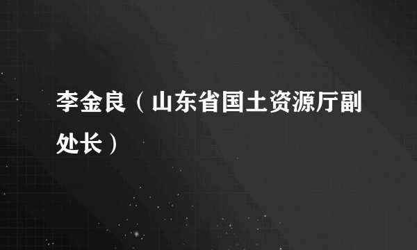 李金良（山东省国土资源厅副处长）