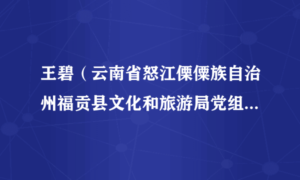 王碧（云南省怒江傈僳族自治州福贡县文化和旅游局党组书记局长）