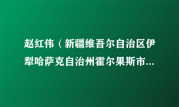 赵红伟（新疆维吾尔自治区伊犁哈萨克自治州霍尔果斯市第一届人民代表大会常务委员会副主任）