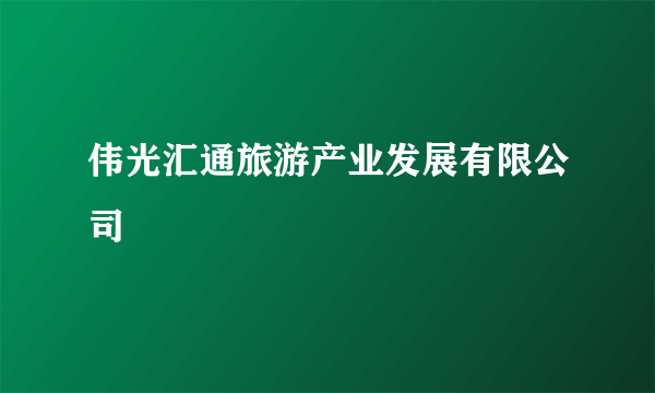 伟光汇通旅游产业发展有限公司