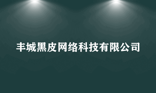 丰城黑皮网络科技有限公司
