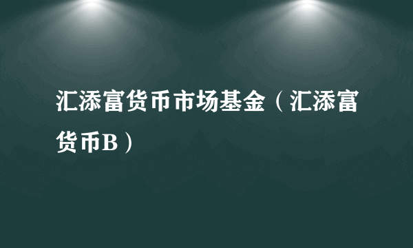 汇添富货币市场基金（汇添富货币B）