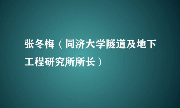 张冬梅（同济大学隧道及地下工程研究所所长）