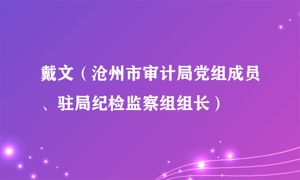 戴文（沧州市审计局党组成员、驻局纪检监察组组长）