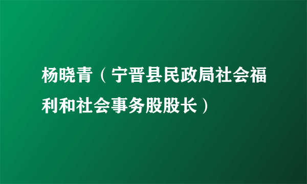 杨晓青（宁晋县民政局社会福利和社会事务股股长）