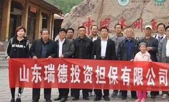 山东瑞德投资担保有限公司