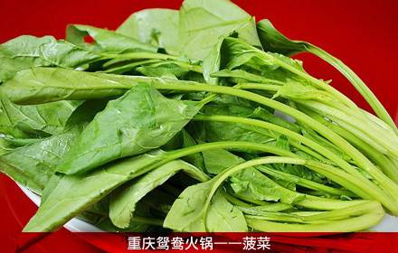 山城辣妹子火锅（定福庄店）