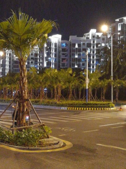 凤凰路（三亚市的道路）