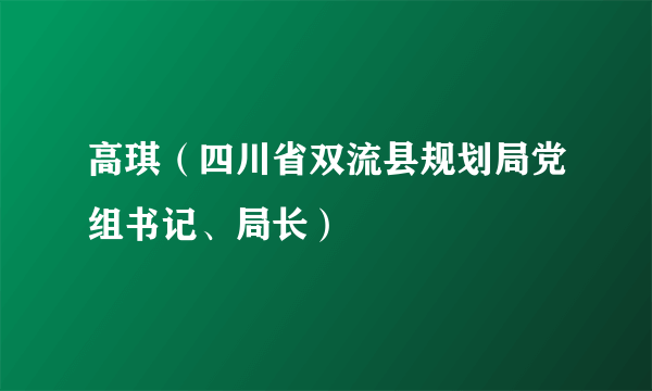 高琪（四川省双流县规划局党组书记、局长）