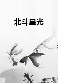 北斗星光