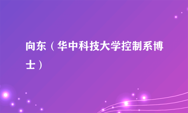 向东（华中科技大学控制系博士）
