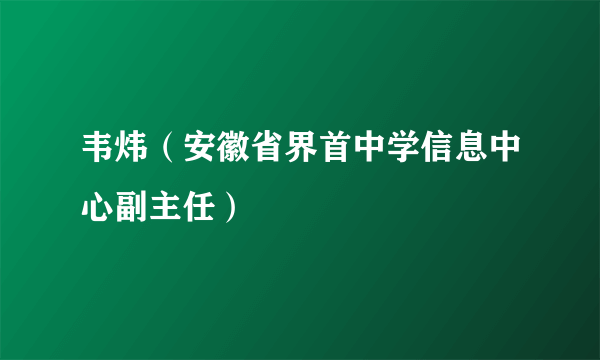 韦炜（安徽省界首中学信息中心副主任）