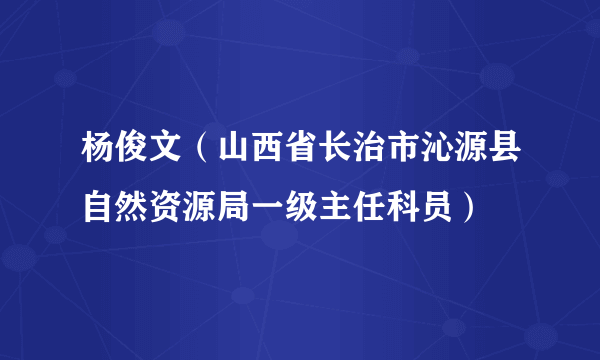 杨俊文（山西省长治市沁源县自然资源局一级主任科员）