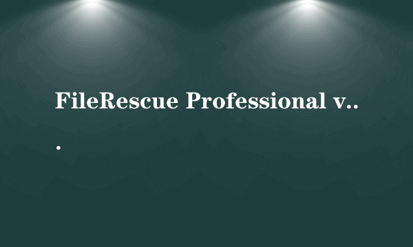 FileRescue Professional v2.6.10