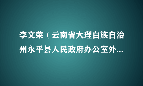 李文荣（云南省大理白族自治州永平县人民政府办公室外办专职副主任）