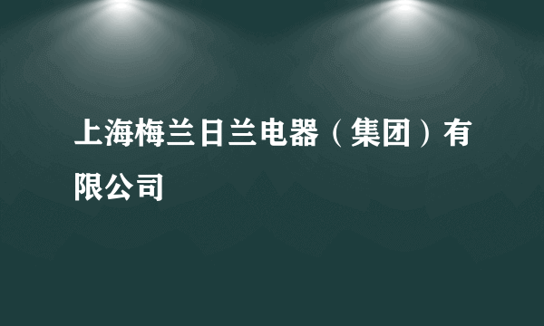 上海梅兰日兰电器（集团）有限公司