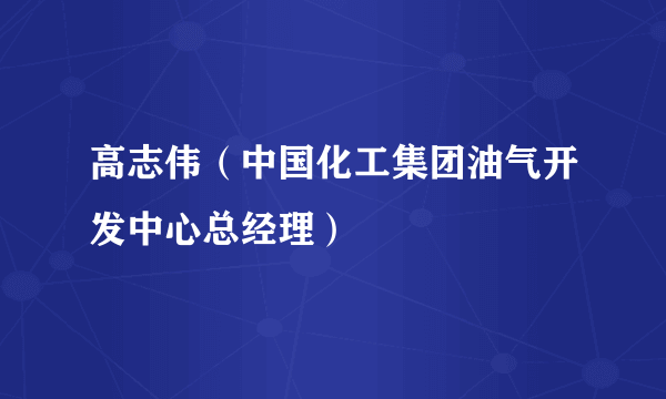 高志伟（中国化工集团油气开发中心总经理）