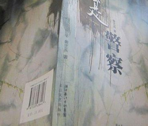 我是警察（2008年长江文艺出版社出版的图书）