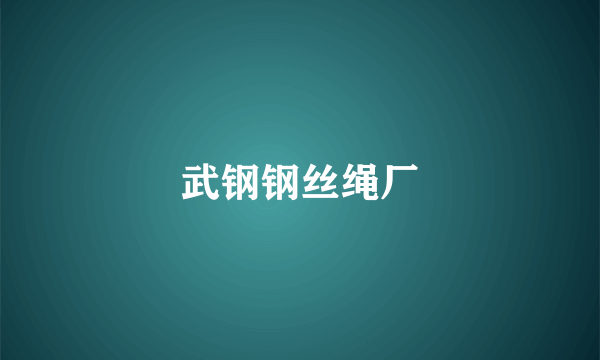 武钢钢丝绳厂