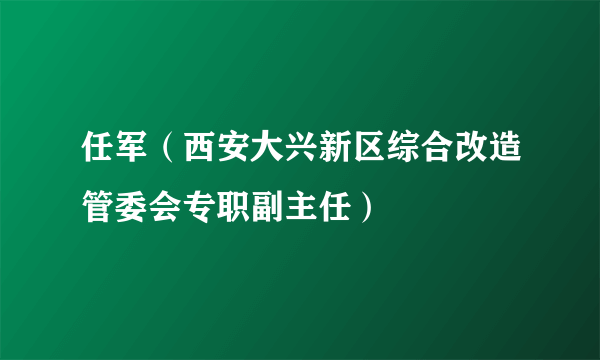 任军（西安大兴新区综合改造管委会专职副主任）
