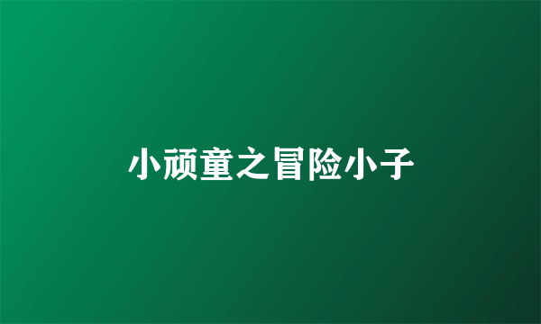 小顽童之冒险小子