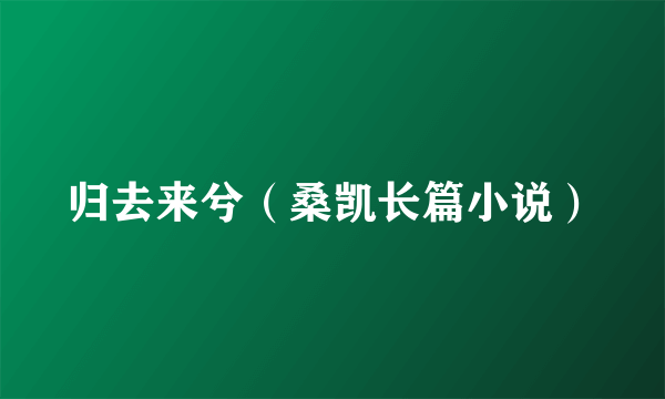 归去来兮（桑凯长篇小说）